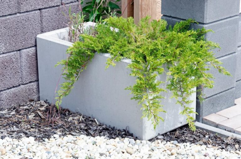 Betonové truhlíky a květináče jako ideální volba pro moderní zahrady